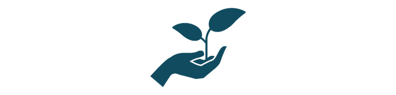 Projekt und Hausarbeit zur Vorlesung Angewandte Programmierung /project-2021-foodsharing/sprout.png